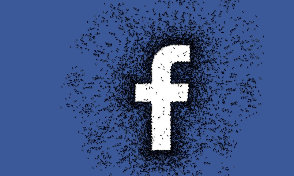 facebook síť